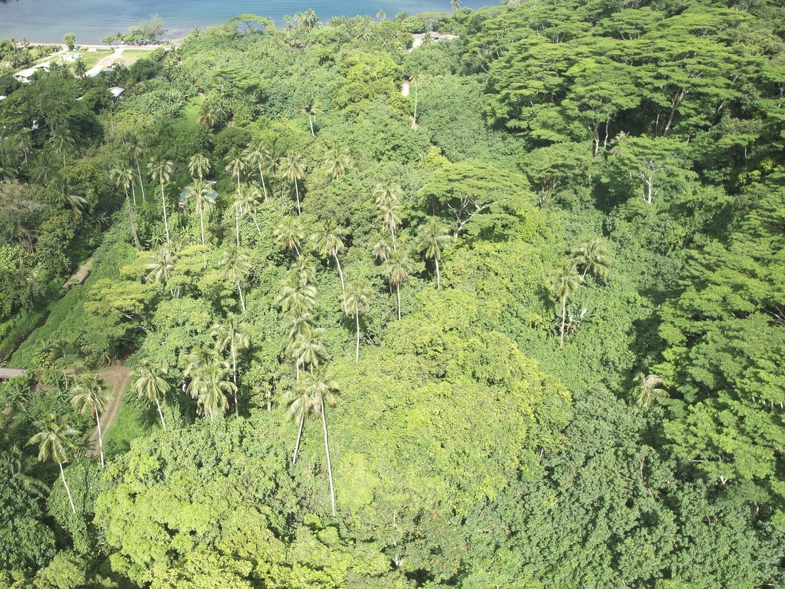 Land in Moorea-Maiao, French Polynesia 2 - 16554648