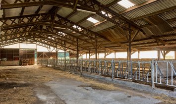 Castle in Saint-Julien-en-Genevois, Auvergne-Rhône-Alpes, France 1