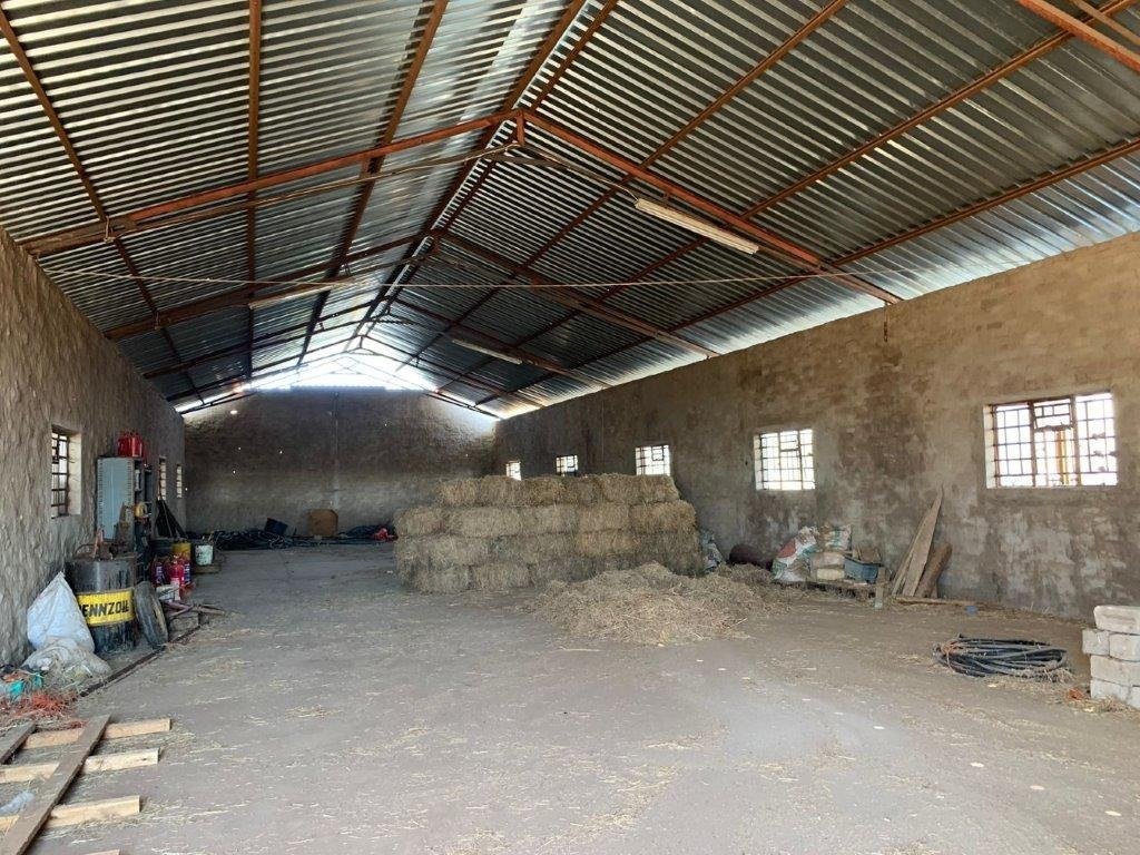 Farm Ranch in Bela-Bela, Limpopo, South Africa 4 - 16555077