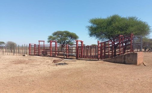 Farm Ranch in Bela-Bela, Limpopo, South Africa 1