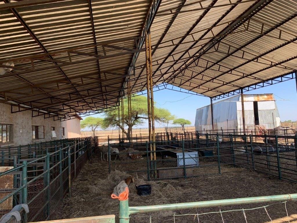 Farm Ranch in Bela-Bela, Limpopo, South Africa 3 - 16555077