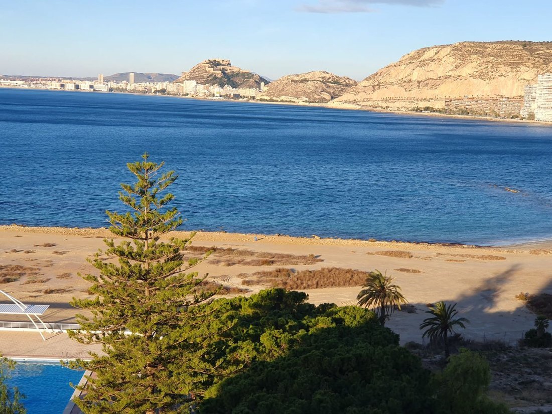 Apartment in Alicante, Valencian Community, Spain 2 - 16539952