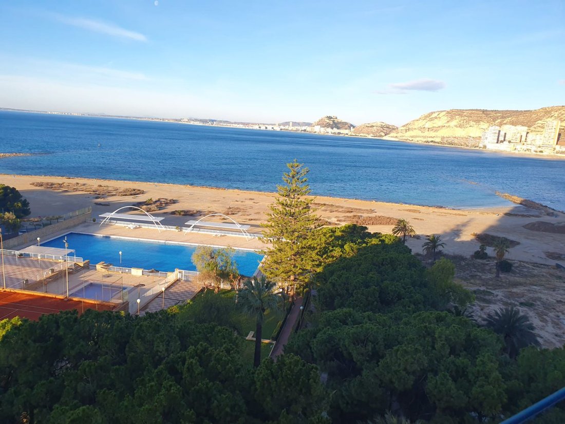 Apartment in Alicante, Valencian Community, Spain 1 - 16539952