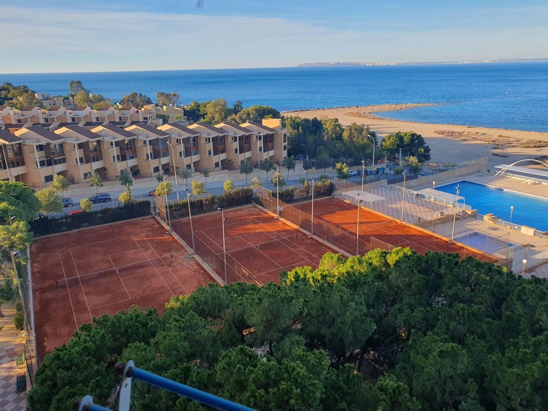 Apartment in Alicante, Valencian Community, Spain 4 - 16539952