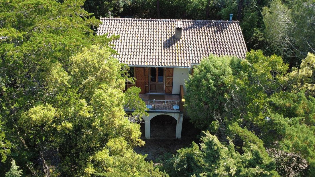 Country House in Castagneto Carducci, Tuscany, Italy 2 - 16556631
