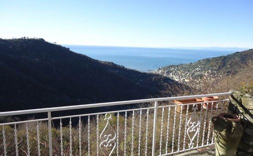 Villa in Centro - Megli - Liceto, Recco, Ligurien 1