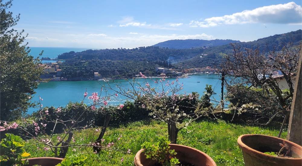 Villa in Porto Venere, Liguria, Italy 5 - 16556263