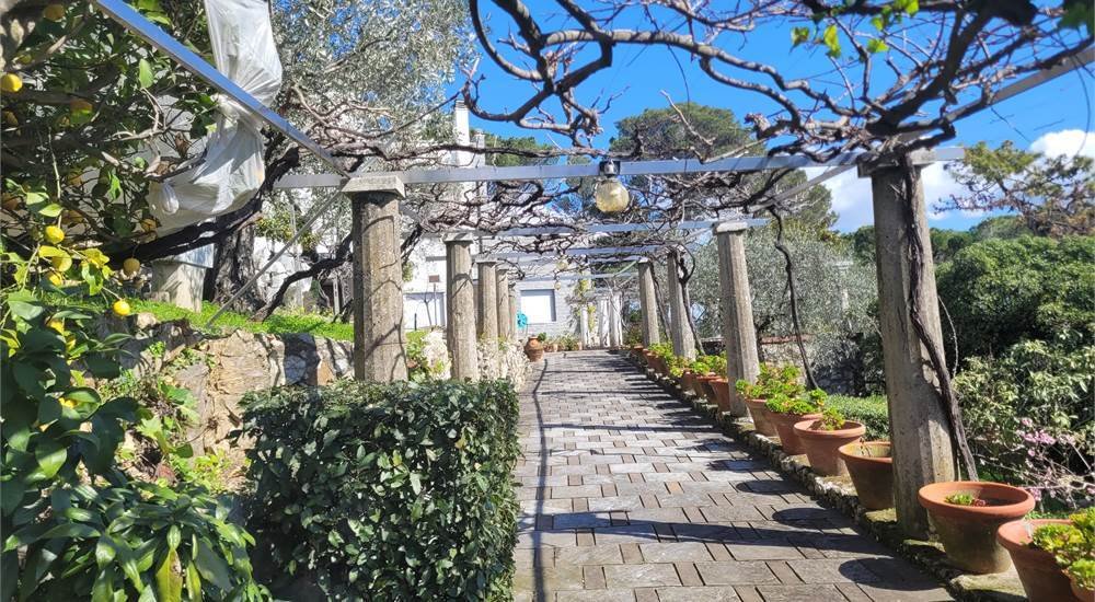 Villa in Porto Venere, Liguria, Italy 4 - 16556263
