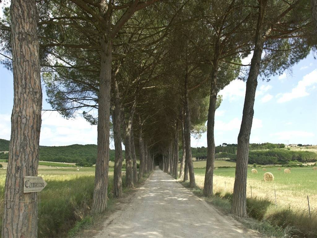 Country House in Suvereto, Tuscany, Italy 3 - 16556498