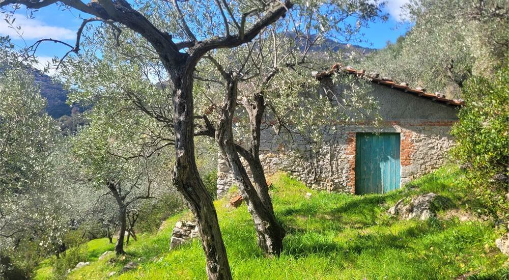 Villa in Porto Venere, Liguria, Italy 2 - 16555919