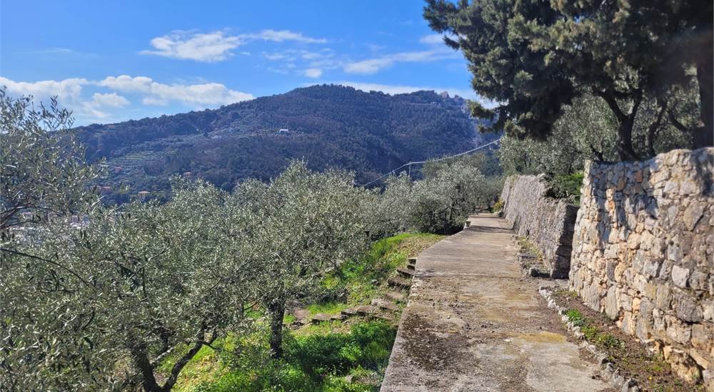 Villa in Porto Venere, Liguria, Italy 3 - 16556263