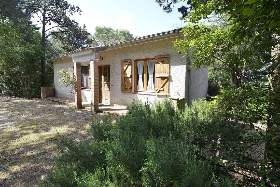 Country House in Castagneto Carducci, Tuscany, Italy 4 - 16556631