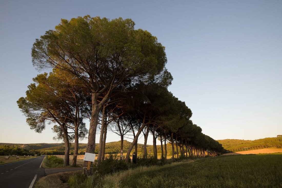 Country House in Suvereto, Tuscany, Italy 2 - 16556498