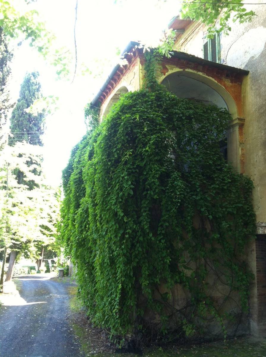 Domaine à Volterra, Toscane, Italie 4 - 16556163