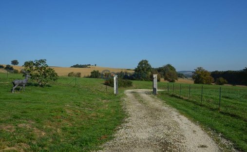 Château Vic Fezensac 503.14 Sqm 9 Rooms