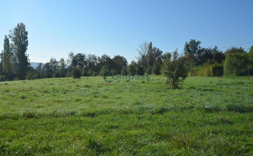 Château Vic Fezensac 503.14 Sqm 9 Rooms