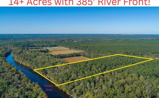 Land in Ridgeville, South Carolina, United States 1