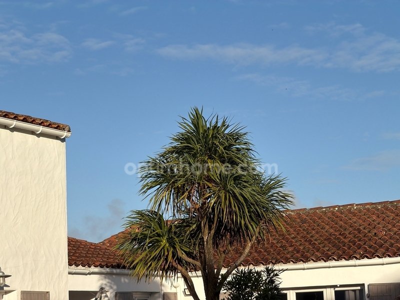 House in Le Bois-Plage-en-Ré, Nouvelle-Aquitaine, France 4 - 16222048