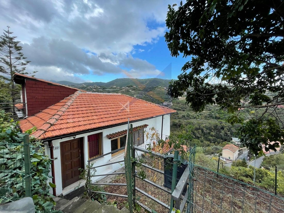 Villa in Vallebona, Liguria, Italy 5 - 16556265