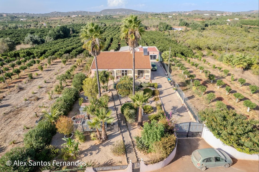 Villa in Sao Bartolomeu de Messines, Algarve, Portugal 4 - 16557617