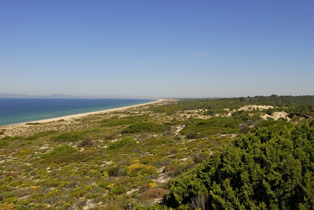 Land in Comporta, Setubal, Portugal 2 - 16556973