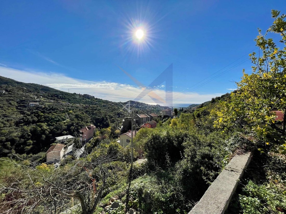 Villa in Vallebona, Liguria, Italy 3 - 16556265