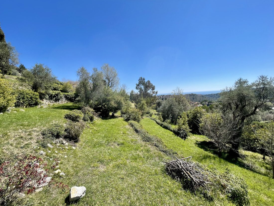 Land in Plan de Noves, Vence, France 3 - 16556655