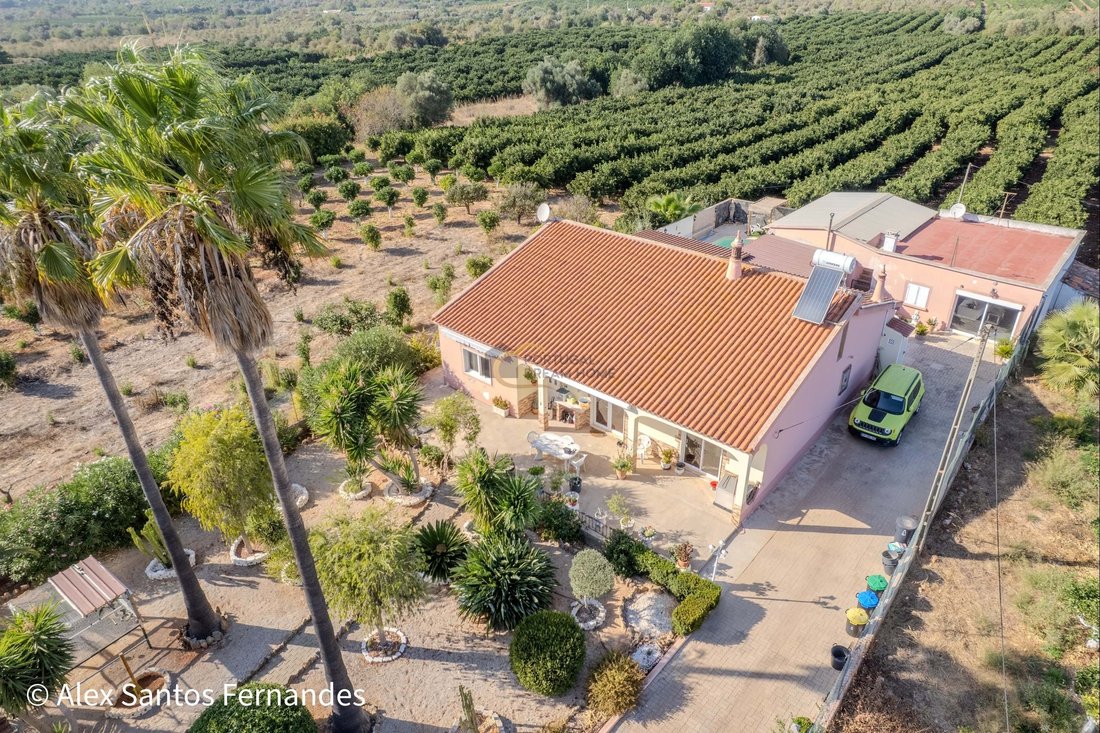 Villa in Sao Bartolomeu de Messines, Algarve, Portugal 2 - 16557617