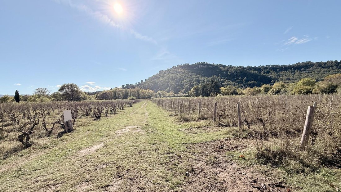 House in Sud, Vidauban, France 4 - 16557570