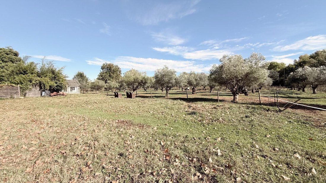 House in Sud, Vidauban, France 3 - 16557570