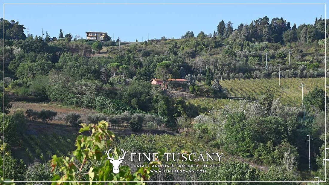 Country House in Historic Center, Lucca, Tuscany 2 - 16556490