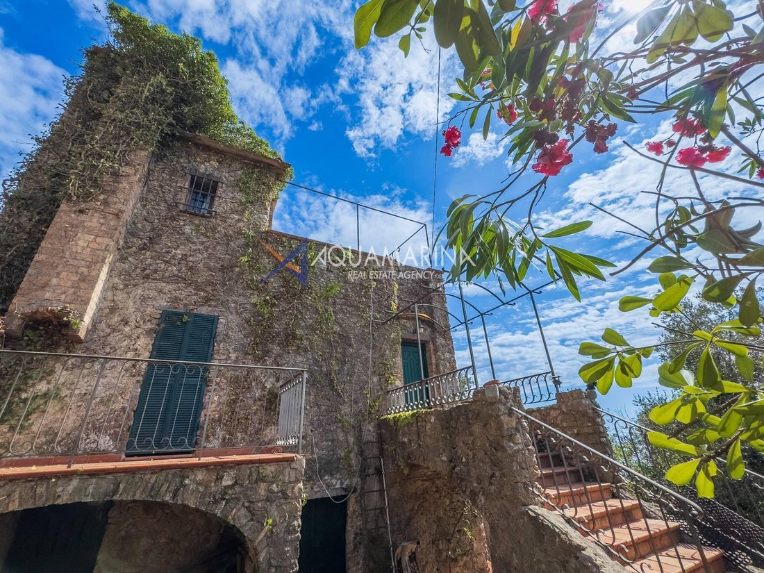 Villa in Camporosso, Liguria, Italy 3 - 16556213
