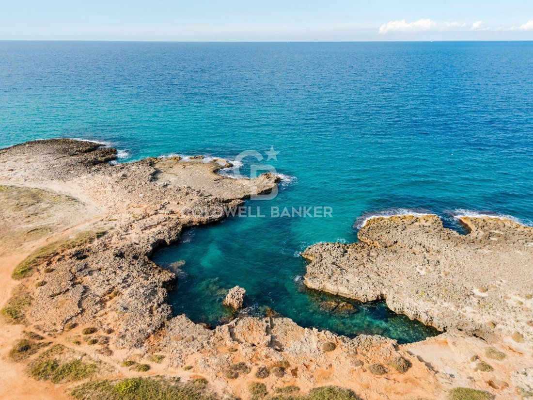 Villa in Torre Santa Sabina, Carovigno, Apulia 4 - 16558693
