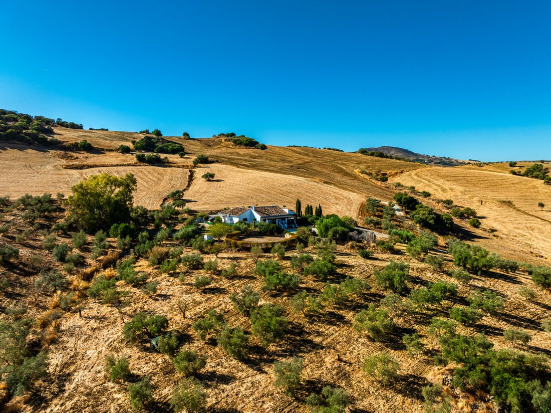Casa de Campo en Villanueva de la Concepción, Andalucía, España 5 - 16557944