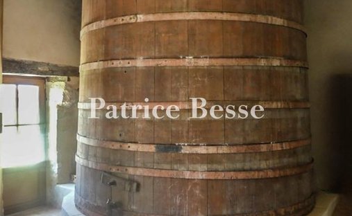 19th C. Property With Lake And Guest Houses