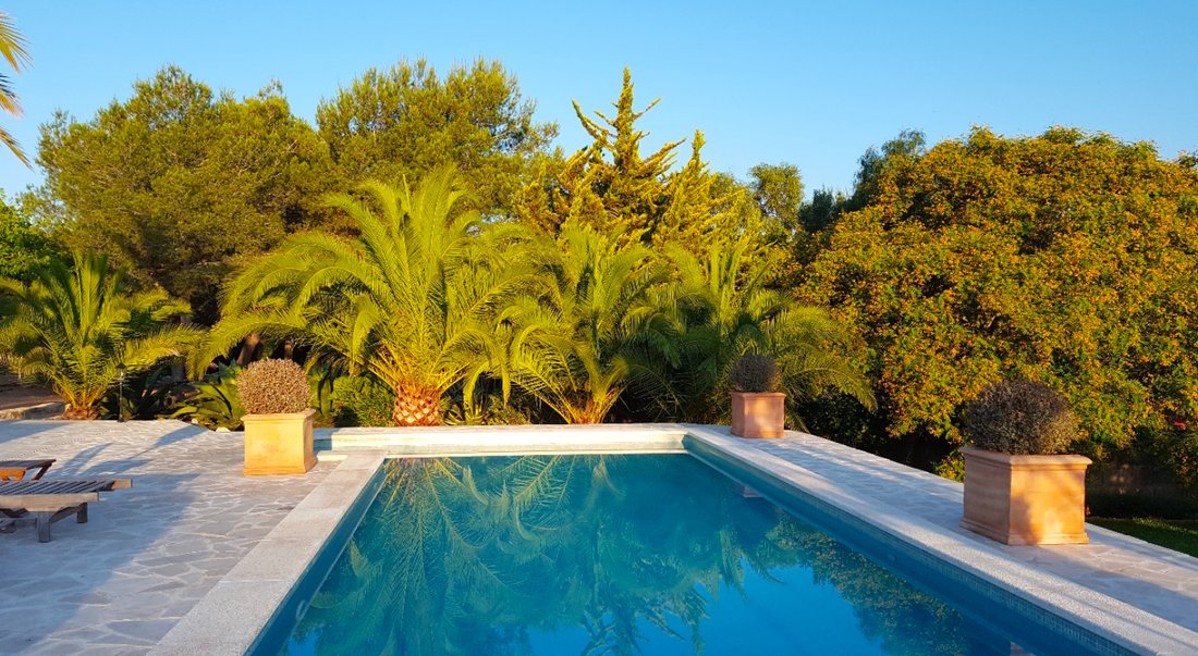 Finca in They are Macià, Manacor, Balearic Islands 5 - 16557784