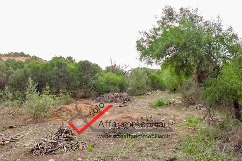 Land in Olbia, Sardinia, Italy 5 - 16556355