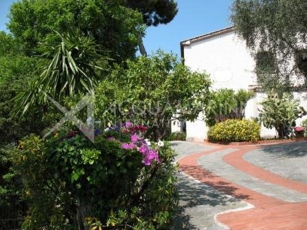Villa in Sasso di Bordighera, Bordighera, Liguria 4 - 16556841