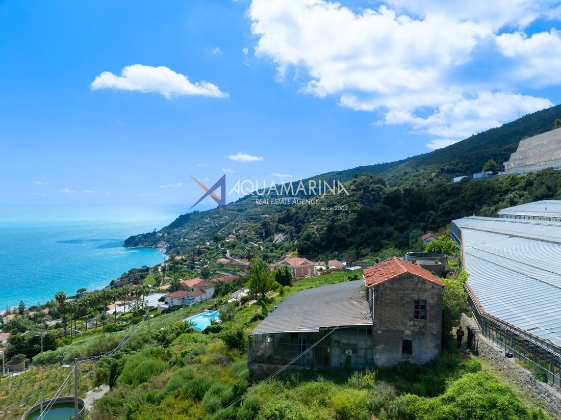 Villa in Center, Ospedaletti, Liguria 5 - 16556452