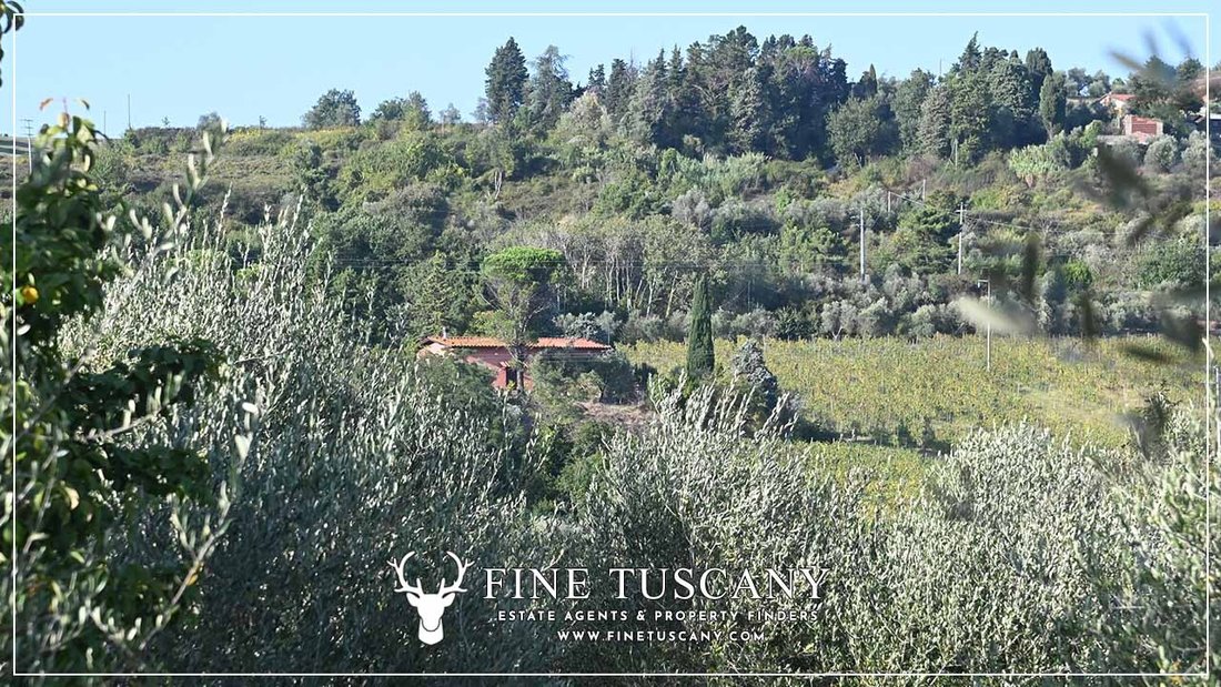 Country House in Historic Center, Lucca, Tuscany 1 - 16556490