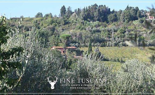Country House in Historic Center, Lucca, Tuscany 1
