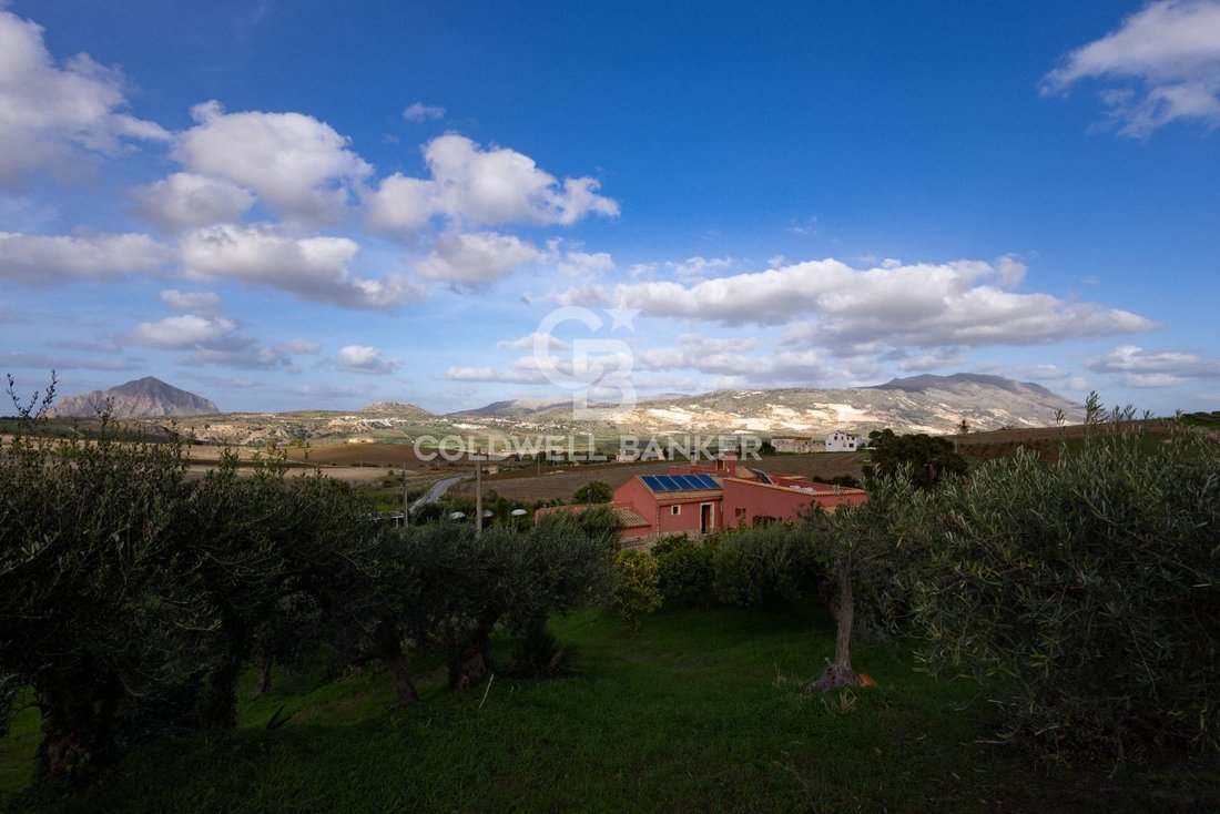 Villa in Valderice, Sicily, Italy 5 - 16558695