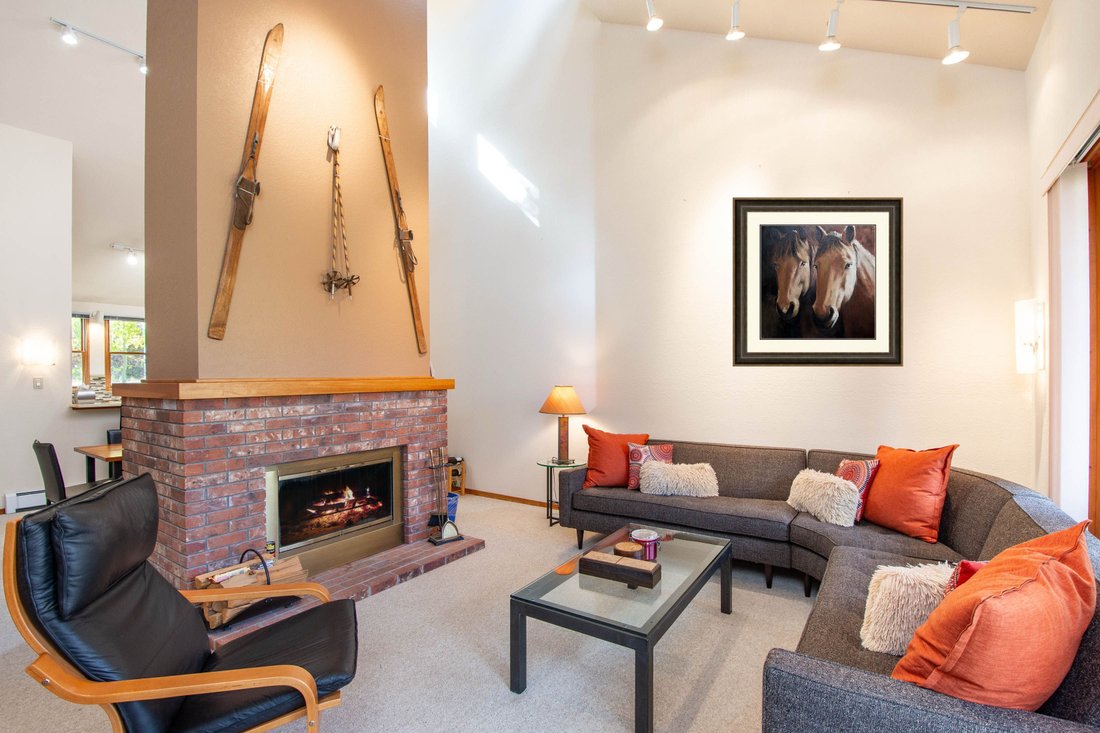 Condo in Snowmass Village, Colorado, United States 4 - 16350763