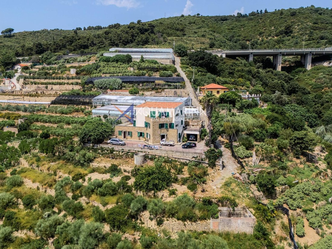 Villa in Sasso di Bordighera, Bordighera, Liguria 4 - 16556148