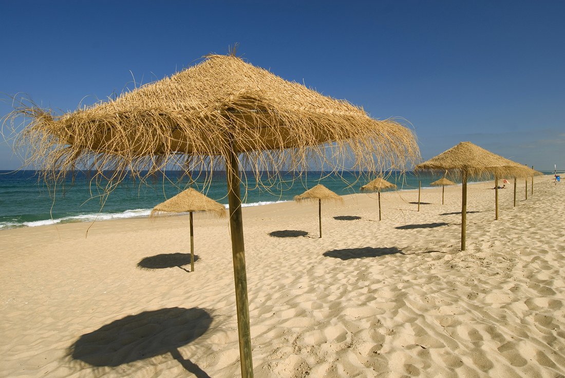 Land in Comporta, Setubal, Portugal 5 - 16556973