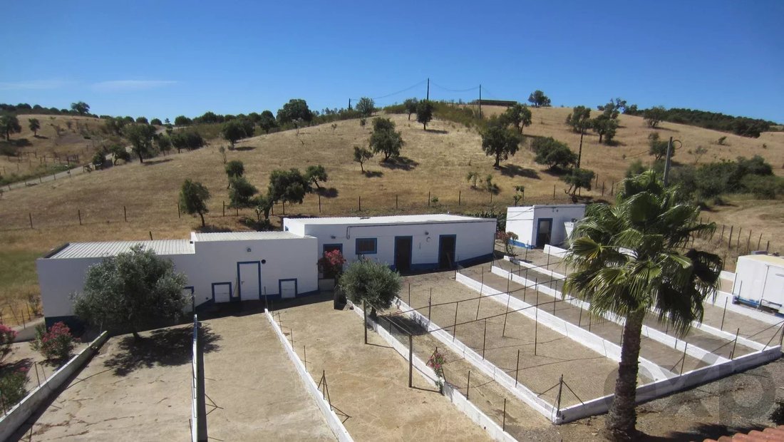 Farm Ranch in Amieira e Alqueva, Évora District, Portugal 5 - 16558600
