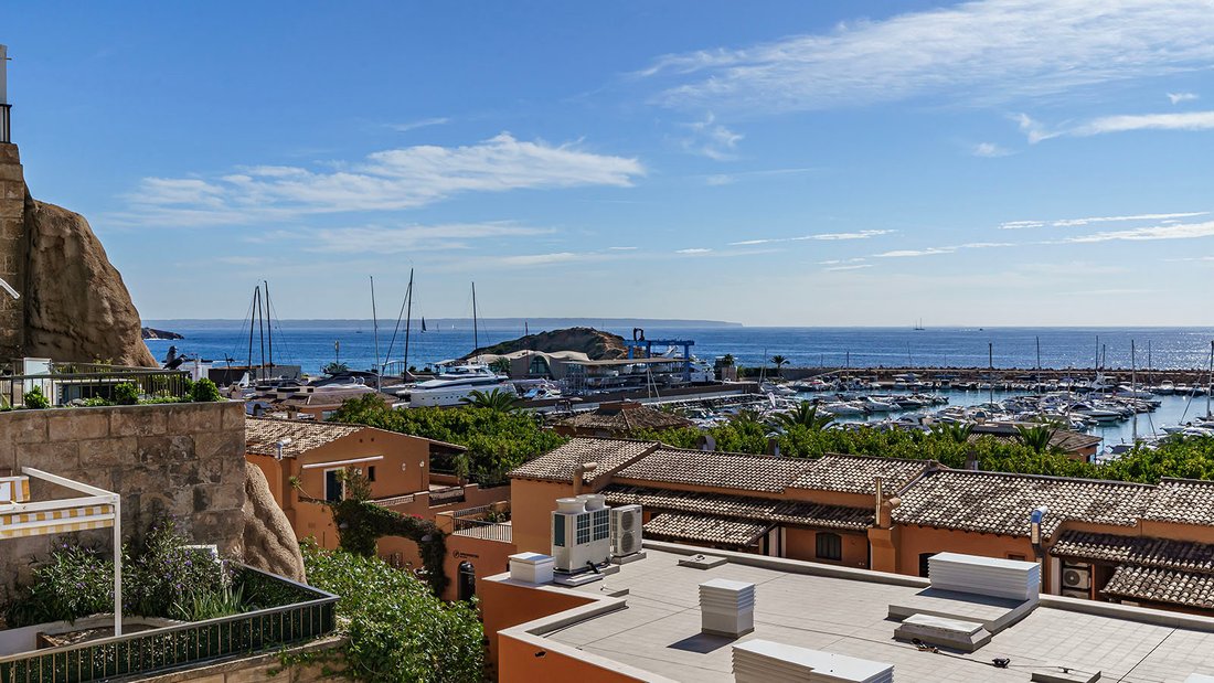 Apartment in Portals Nous, Calvia, Balearic Islands 4 - 16559953
