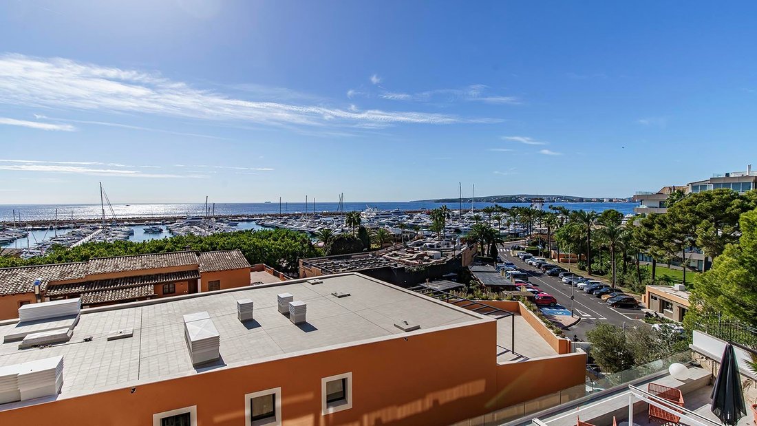 Apartment in Portals Nous, Calvia, Balearic Islands 2 - 16559953