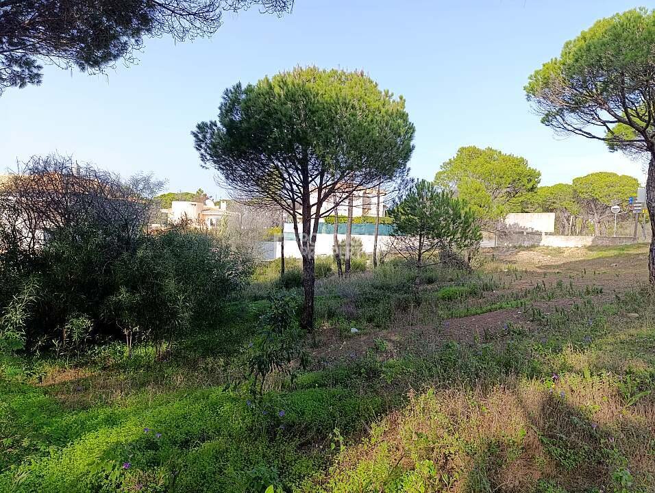 Land in Vale do Lobo, Almancil, Portugal 4 - 16561506