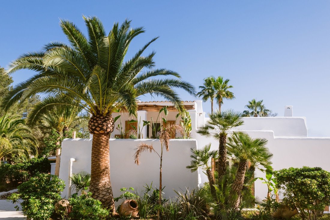 Finca in Jesus, Santa Eularia des Riu, Balearic Islands 1 - 16560986